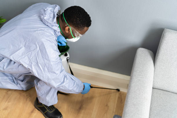 Best Real Estate Pest Inspections  in USA